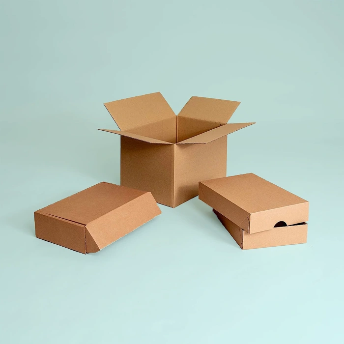 Custom Packaging Designed Shipping Boxes